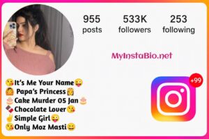 Instagram-Bio-For-Girls-Simple